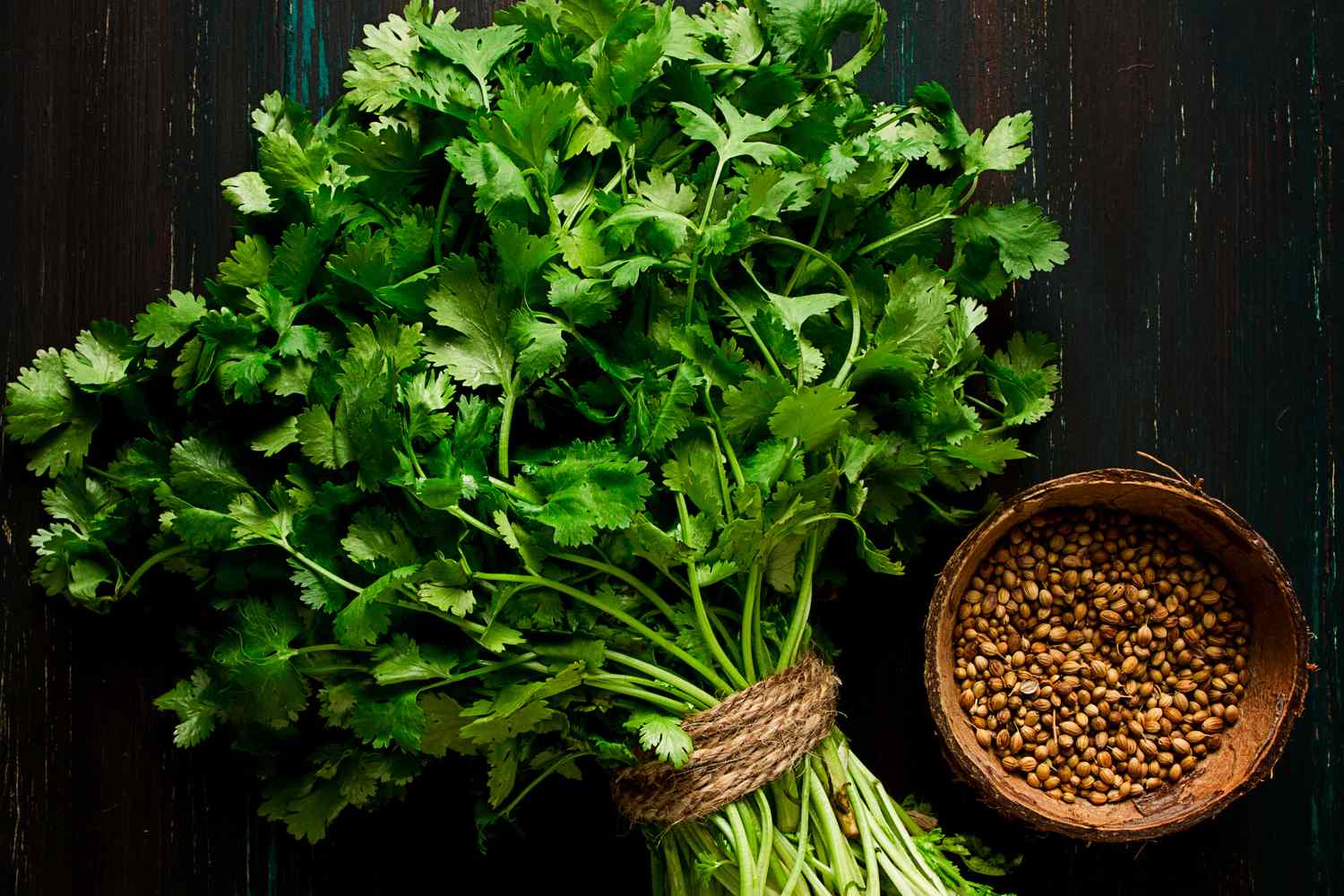 cilantro, the cilantro test, genetic variations, love or hate