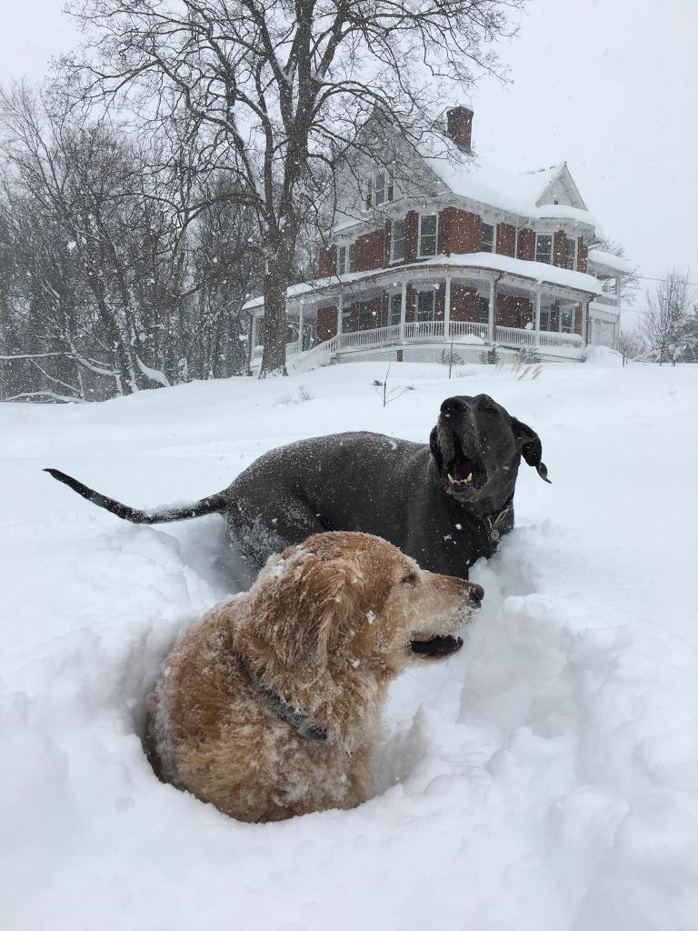 From the Archives: How Do We Know We are Free?   Play.